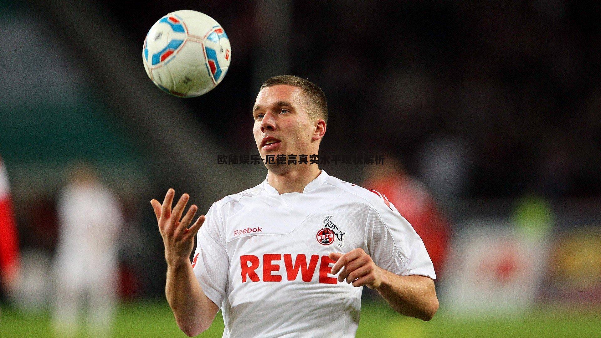 厄德高真实水平现状解析